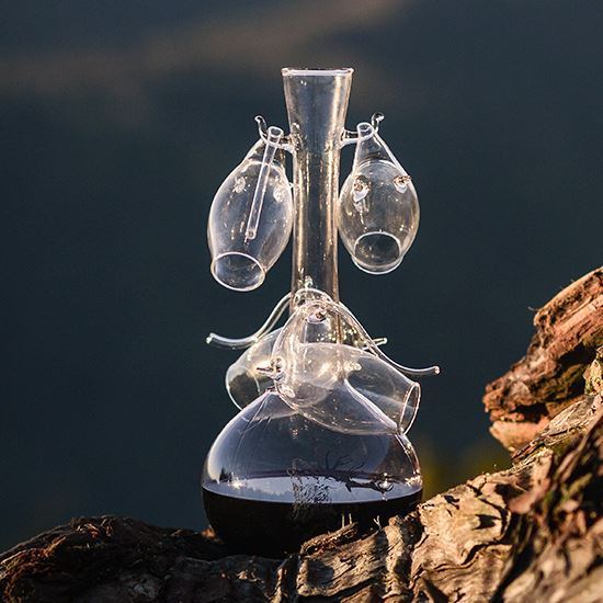 Ruahine Ports. Decanter, sippers and 2 ports