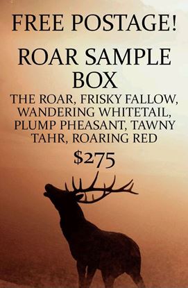 Picture of Roar Sample Box