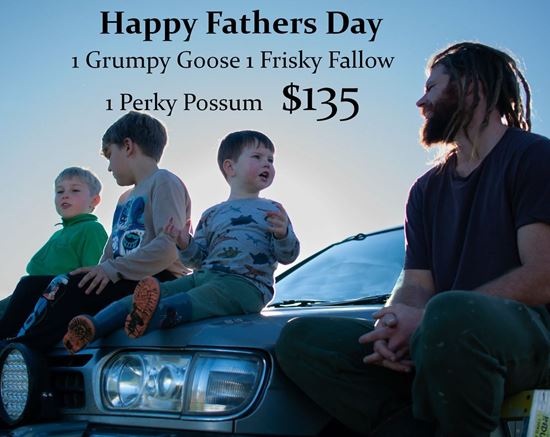 Picture of Fathers Day Special